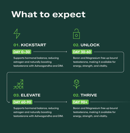 Testosterone Support complex